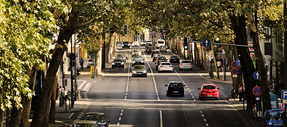 Das Bild zeigt eine Straße mit Autos und Fußgängern. Am Rand stehen grüne Bäume.